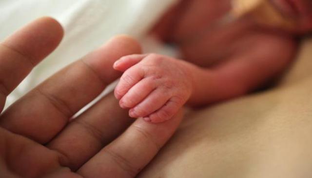ولادة طفل أوكراني من ثلاثة آباء بتقنية تلقيح رائدة
