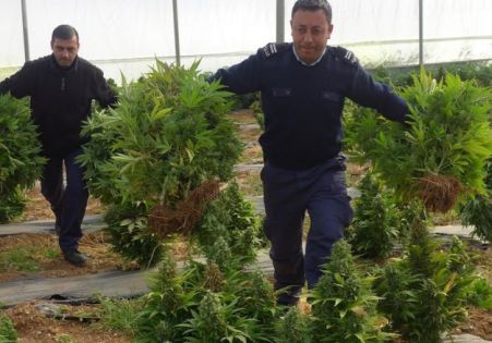 الشرطة تضبط أكثر