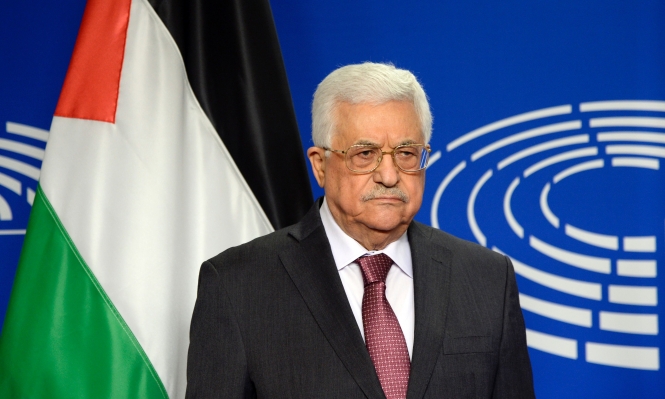 الشوبكي: الرئيس أعطى توجيهاته لوفد 