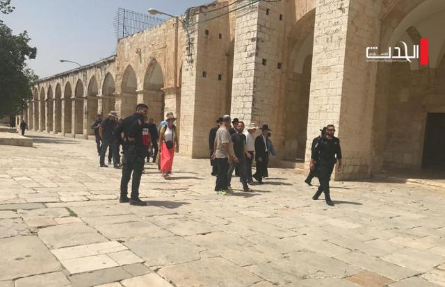 2141 مستوطنا اقتحموا