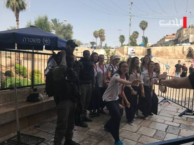 مستوطنون يعتدون على ممتلكات المواطنين في البلدة القديمة من القدس
