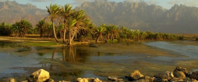 9 حقائق مدهشة أخرى عن الشرق الأوسط قد لا تعرفها.. (صور)