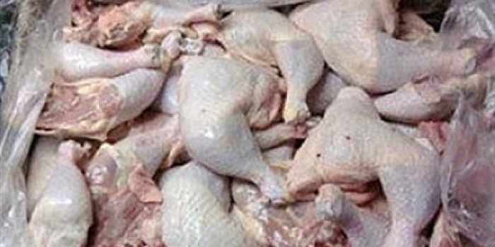 اتلاف نصف طن من الدجاج