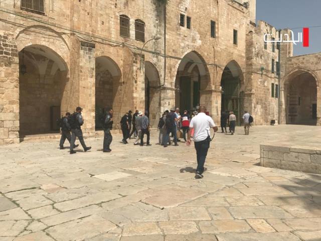  اقتحامات استفزازية للمسجد الأقصى بحراساتٍ مُشدّدة
