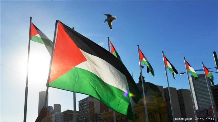 فلسطين تتفوق على