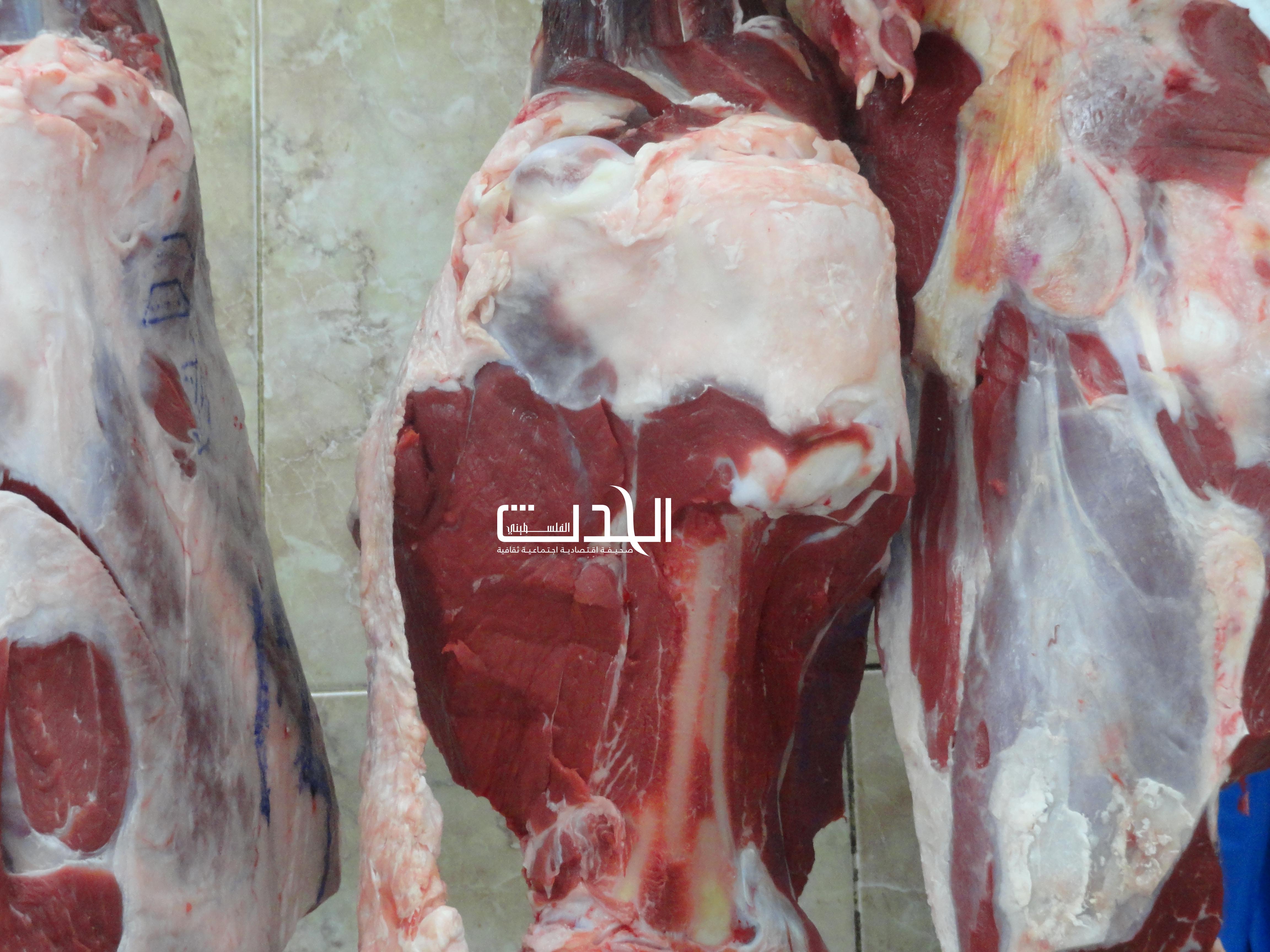 خاص 
