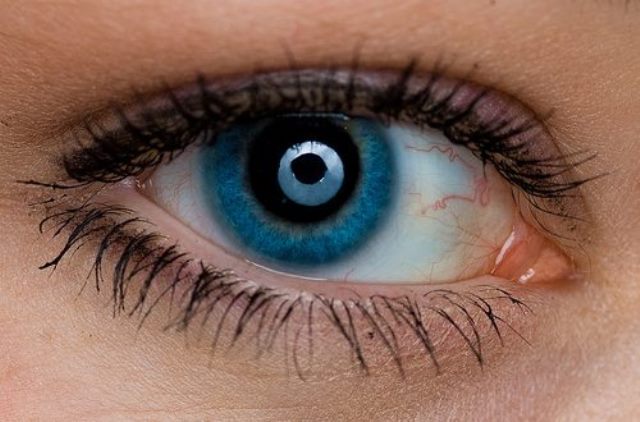 6 أشياء لم تكن تعلم