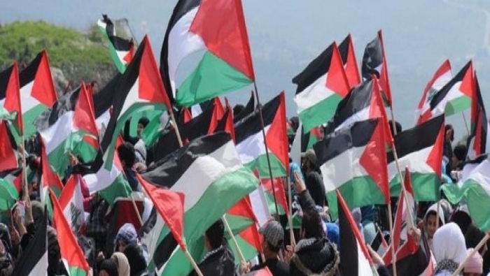 المدير العام لـ