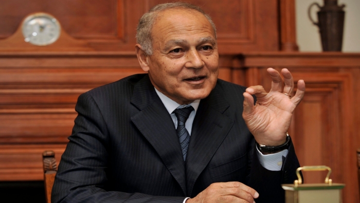 أبو الغيط يؤكد أهمية التمسك بحل الدولتين للقضية الفلسطينية