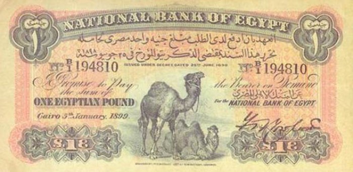 سقوط حر للجنيه المصري أمام الدولار
