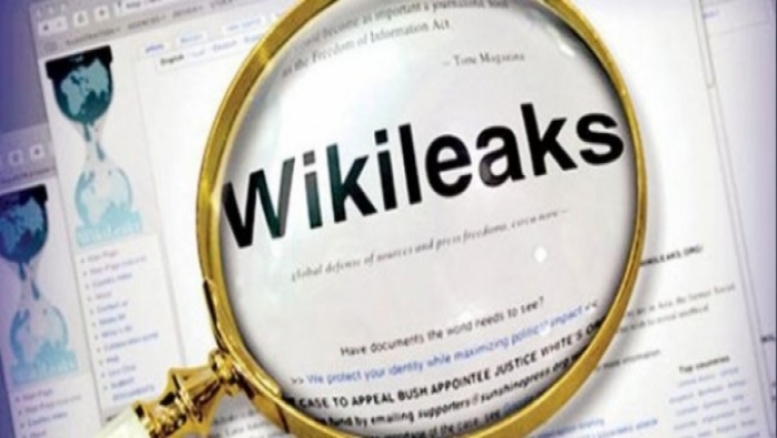 ويكيليكس: أمريكا