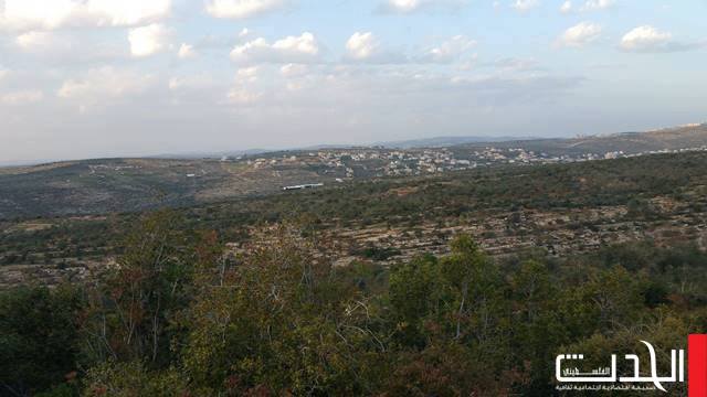 القبض على عصابة تزوير ملكية أراضٍ فلسطينية
