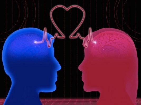 ماذا يحدث للدماغ عندما تشعر بالحب؟