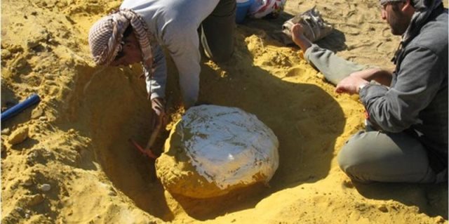 القبض على 6 أشخاص بتهمة التنقيب عن آثار في جنين
