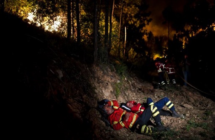 57 قتيلا على الأقل في حريق الغابات بوسط البرتغال 