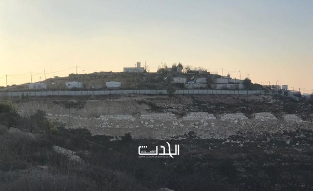 ترجمة 