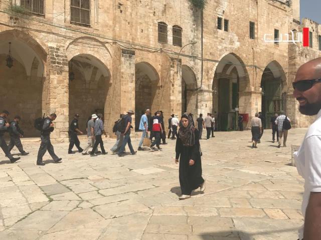 مستوطنون يستأنفون اقتحاماتهم الاستفزازية للمسجد الأقصى
