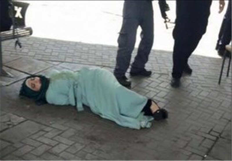 عريقات: دولة فلسطين ستلاحق مجرمي الحرب (صور)