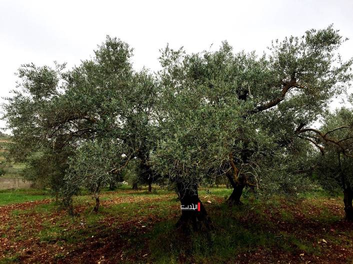 الطقس اليوم وغدا