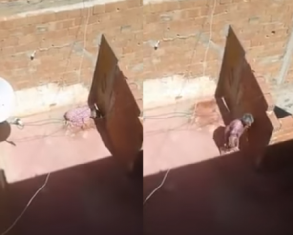 مغربية تحتجز والدتها على السطح بظروف غير إنسانية (فيديو)