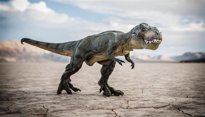 العلماء يكشفون سبب انقراض الديناصورات
