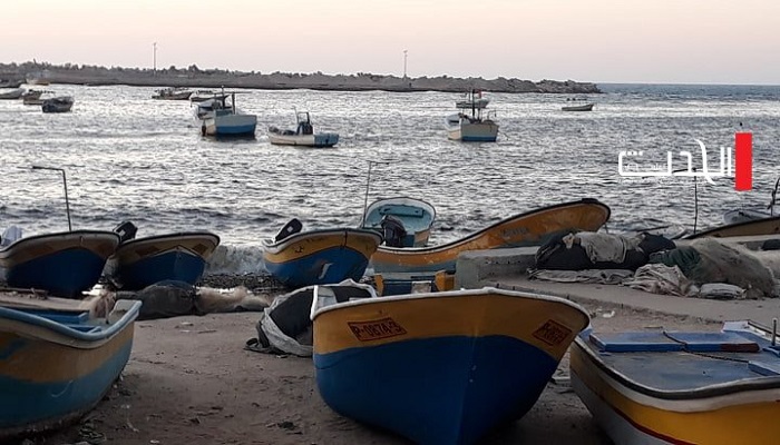 اصطياد سمكة تزن أكثر من طن ونصف في بحر قطاع غزة (صور)

