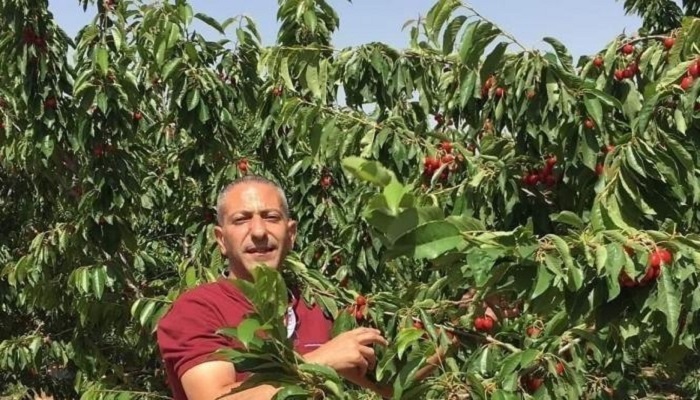 نيابة الاحتلال تقدم