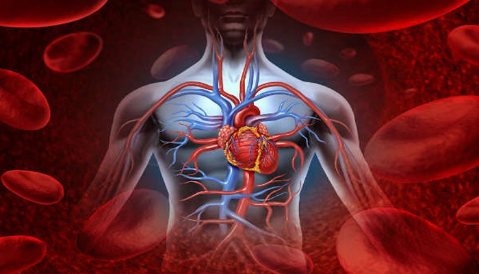 دراسة أمريكية: المولودون بعيوب في القلب أقل عرضة لخطر العدوى الشديدة لـ