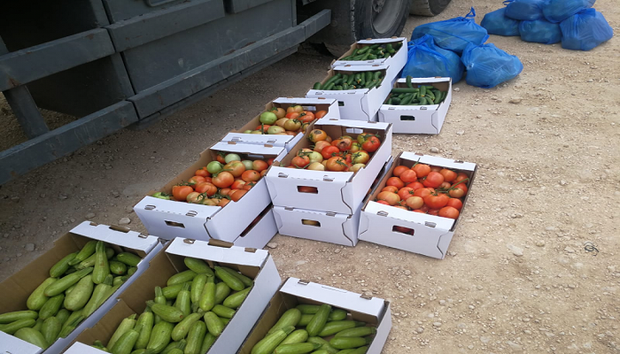 العمل الزراعي ينهي توزيع طرود معقمات وخضراوات على 1800 أسرة
