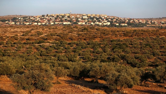 إسرائيل تنوي تسوية الأراضي في مناطق ج ومطالبة الفلسطينيين بإثبات ملكية أراضيهم

