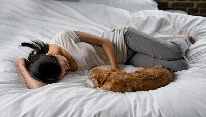 دراسة: رقود كلبك بسريرك أكثر فائدة من نومك بجانب شريك بشري
