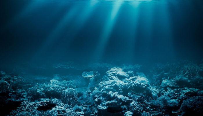 الكشف عن كائن بحري وحيد من نوعه في العالم (صور)
