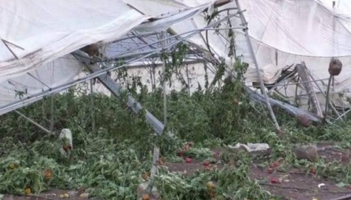 العطاري: طواقم وزارة الزراعة تعمل على حصر الأضرار الناجمة عن المنخفض الجوي
