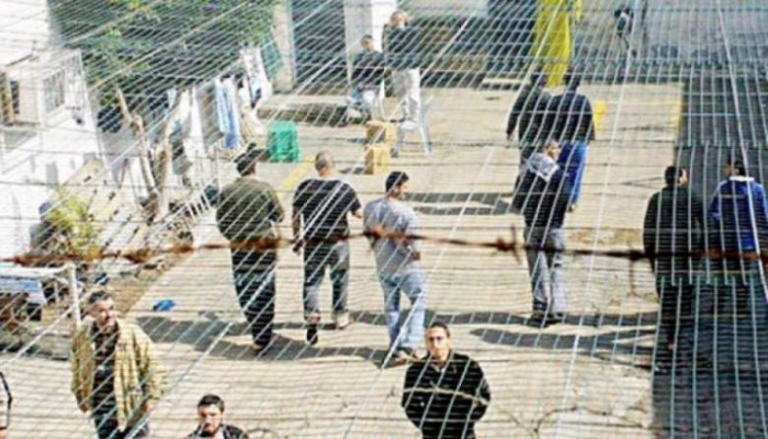 14 أسيرًا أمضوا أكثر من 30 سنة في سجون الاحتلال
