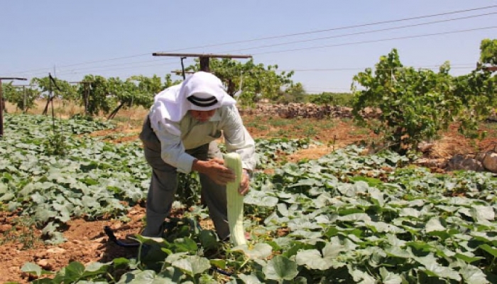 الشعبية تدعو لتعزيز