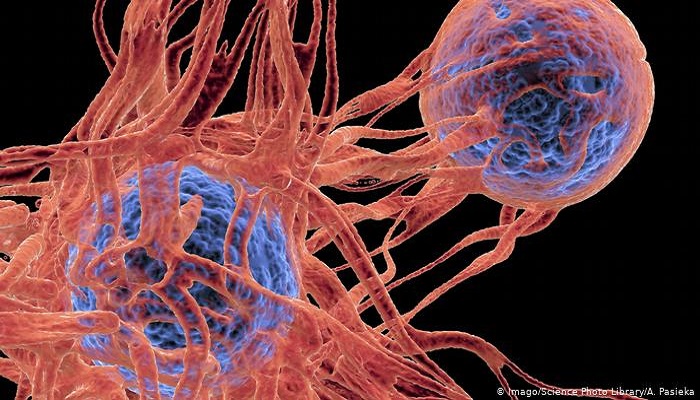 العلماء يطورون أداة جديدة في مكافحة السرطان والفيروسات
