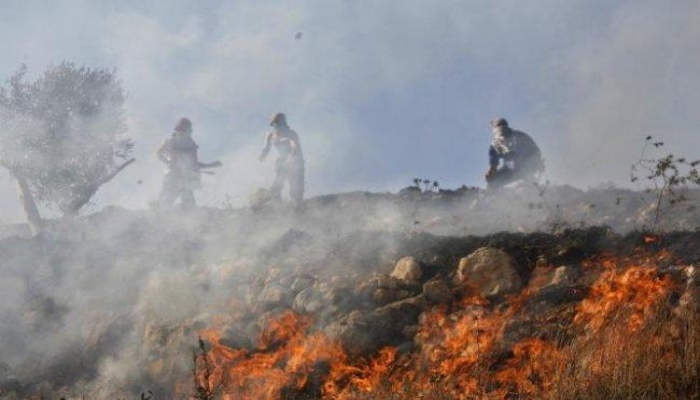 مستوطنون يضرمون النار بحقول زراعية جنوب نابلس
