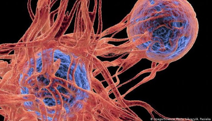 العلماء يكتشفون السبب الرئيسي لعدم إمكانية علاج السرطان
