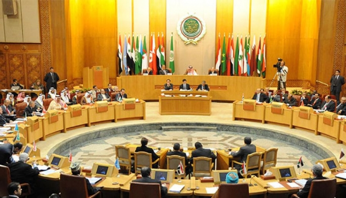 الجامعة العربية تؤكد أهمية التضامن العربي الإفريقي في السعي لإقامة الدولة الفلسطينية

