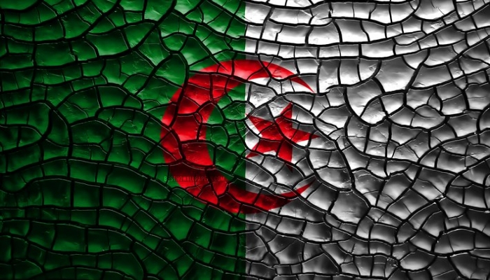الفنانون الجزائريون يغنون على الإنترنت ضد النظام

