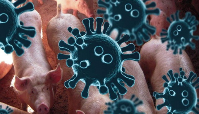 ظهور فيروس جديد في الصين وتحذيرات من تحوله إلى وباء عالمي
