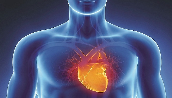 خوارزميات تساعد على فهم تأثير الدواء على خلايا القلب
