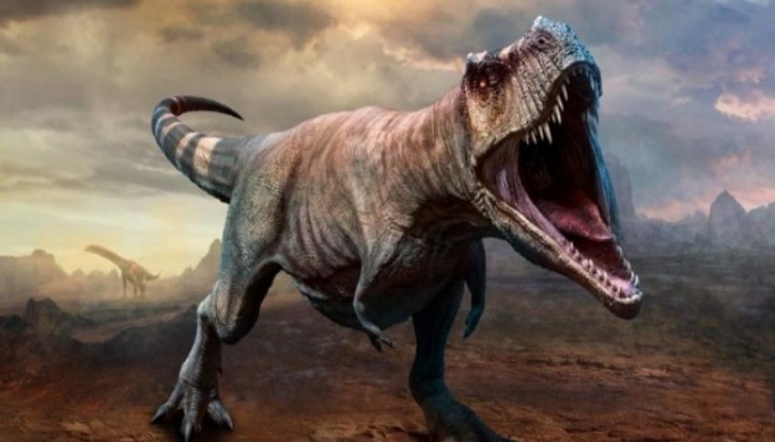  باحث من جامعة القدس يكتشف آثار لأقدام ديناصورات عاشبة سكنت فلسطين
