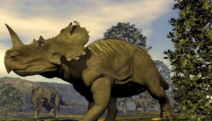 العثور على السرطان في قدم ديناصور عاش قبل 77 مليون عام
