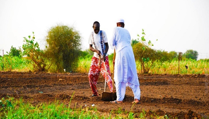 الموت الصامت مرض خبيث يصيب المزارعين والرعاة في السودان

