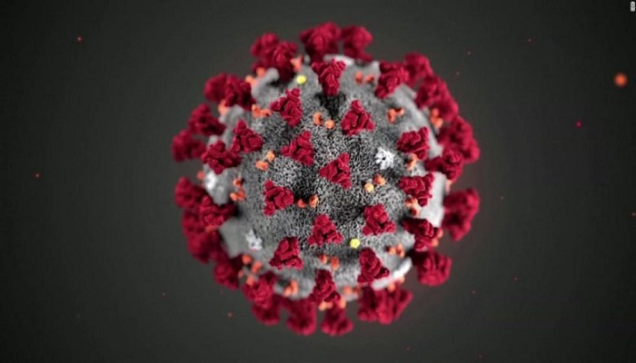 سلالة جديدة لفيروس كورونا قادرة على مقاومة اللقاح 

