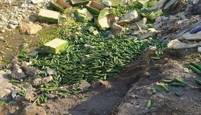 مطالبات بتوفير شبكة حماية للمزارعين ومنتجاتهم الزراعية ودعم تسويقها

