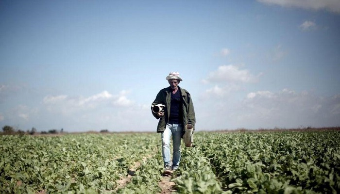 اتحاد الجمعيات التعاونية الزراعية في فلسطين يطلق حملة لتسويق المنتجات الزراعية
