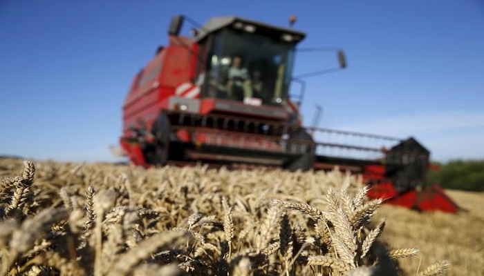 روسيا تعتزم رفع ضريبة تصدير القمح
