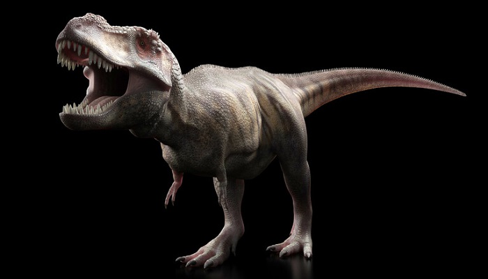 تحليل أحفوري يكشف عن ديناصور غريب بحجم الدجاجة يُطلق عليه اسم 
